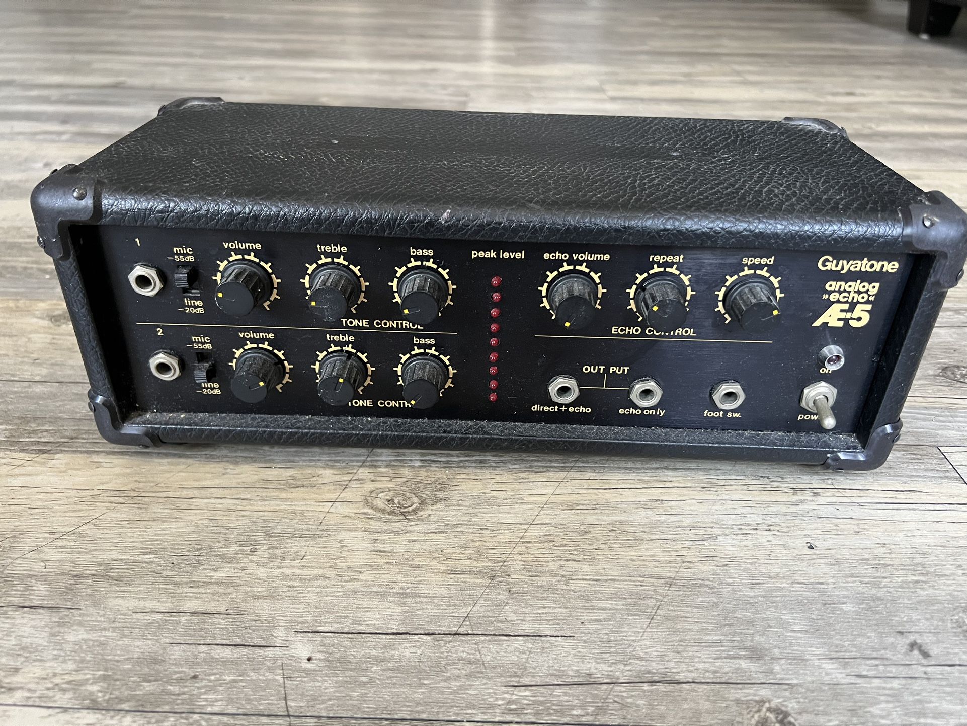 Guyatone AE-5 Analog Echo