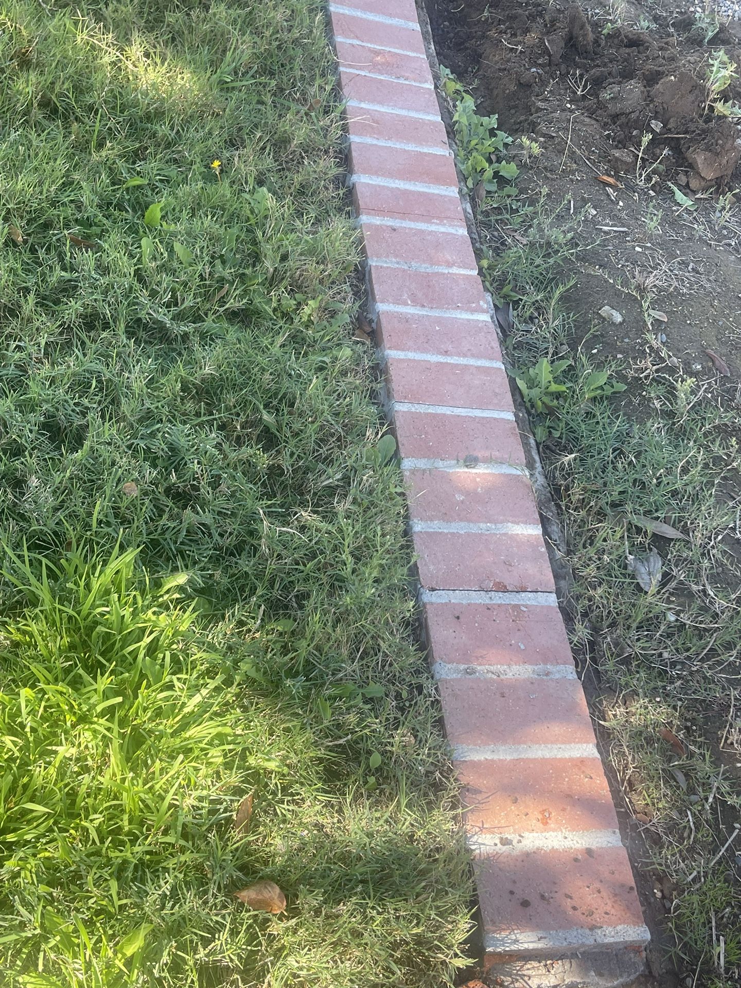 Free Brick