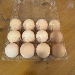 Farm Chicken Eggs $6/dozen