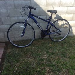 Schwinn Adult Bike