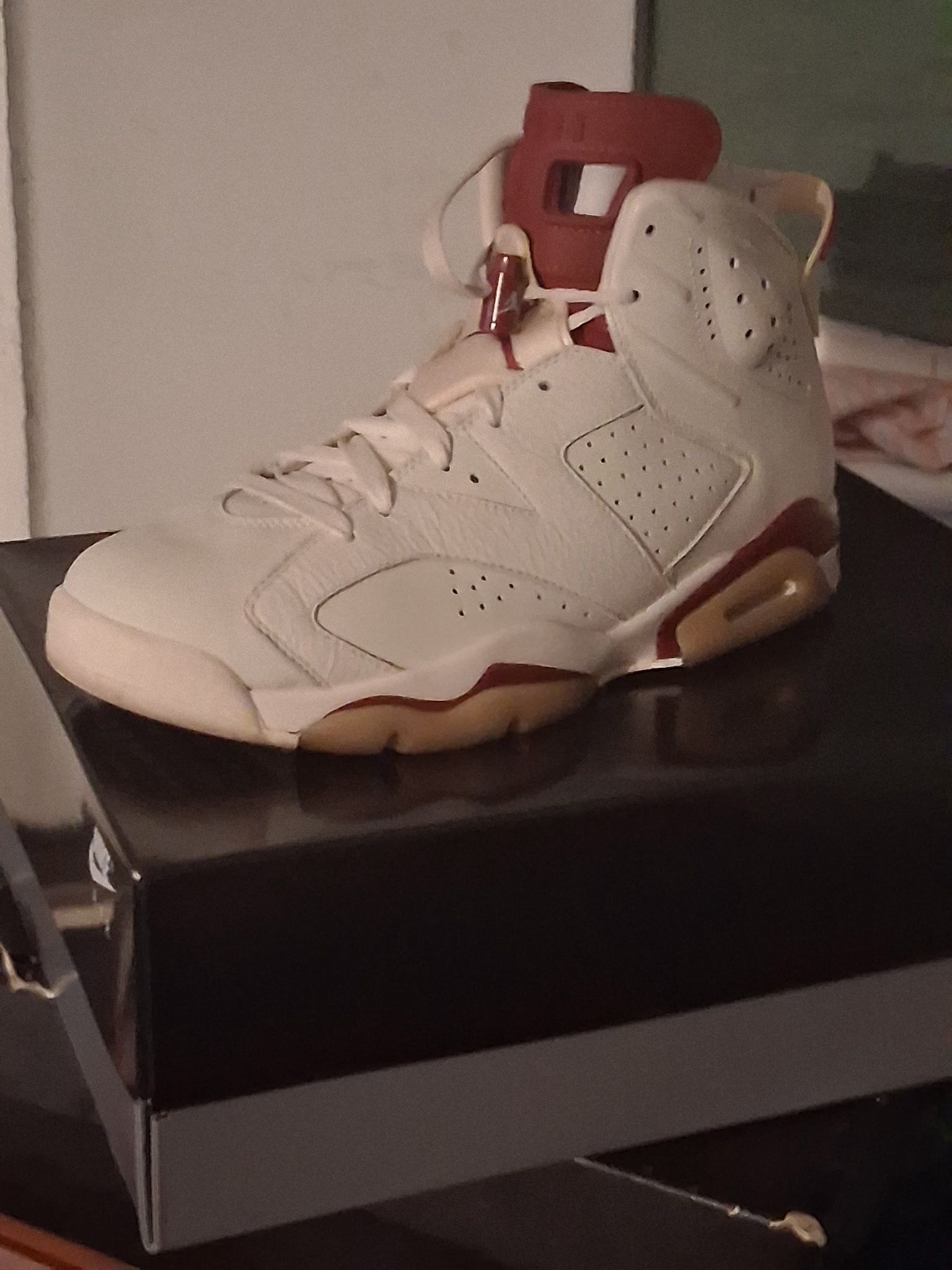 Air Jordan Retro 6 
