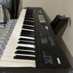 KORG TR