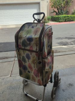 Rolling step climbing cooler