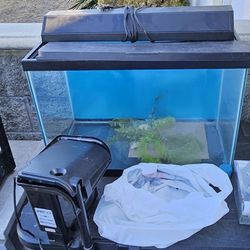 Aquarium Tank And Heater