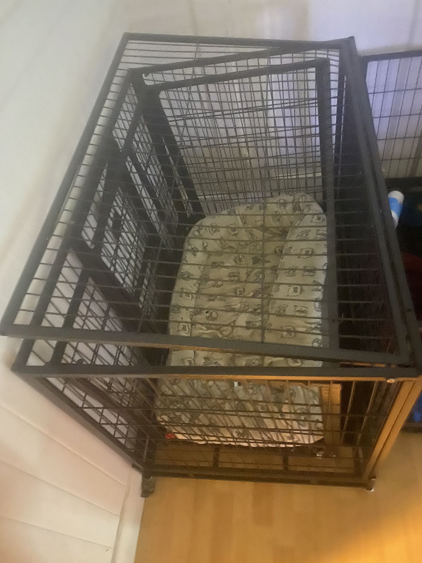 Dog Cage