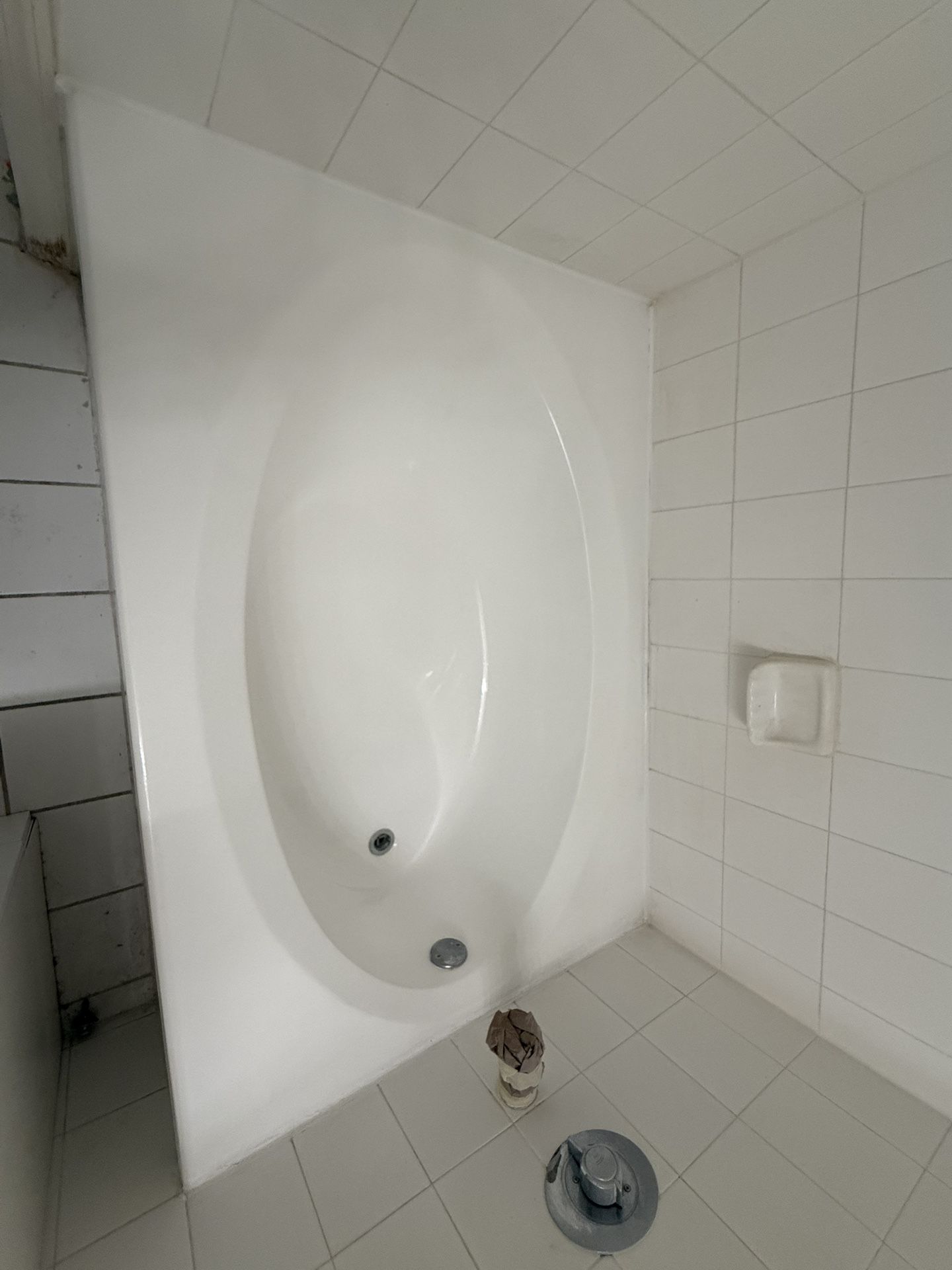 Bathtub Paint