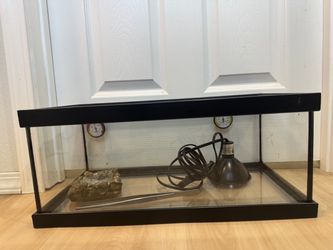 Aquarium / Terrarium
