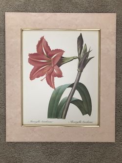 Flower Print Picture 