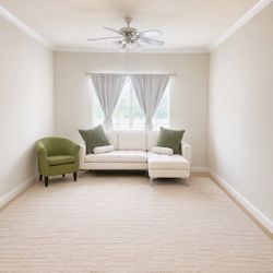 Chair Couch And Pillows 200.00 No Stains One Year Old 