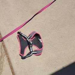 Large Pink Dog Harness And Leash