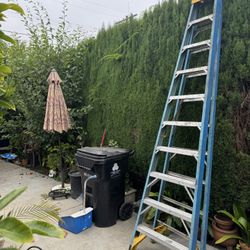  Ladder 10 Foot