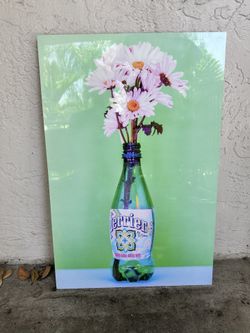 Decorative picture 20inch x 30inch