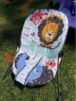 Fisher Price Bouncy Seat