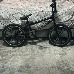 20 Inch Bike 