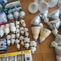 Light Bulbs – CFL, Flood, Chandelier & More – $1 Each or All for $75
