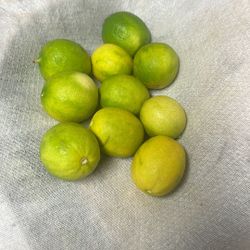 Limon Verde Para Ceviche