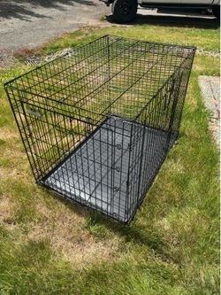 42” folding metal dog crate