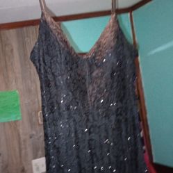 Hoco/Prom Dress 