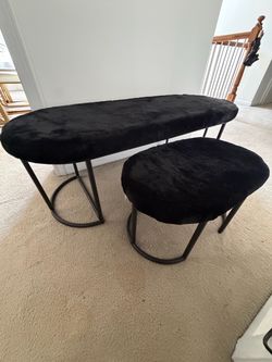 Brand new furniture seats $80 for both