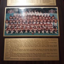 Redskins Superbowl Plaque