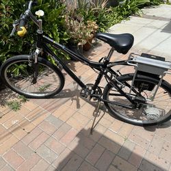 Zip Electric Bike