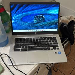 HP Chromebook Bo 