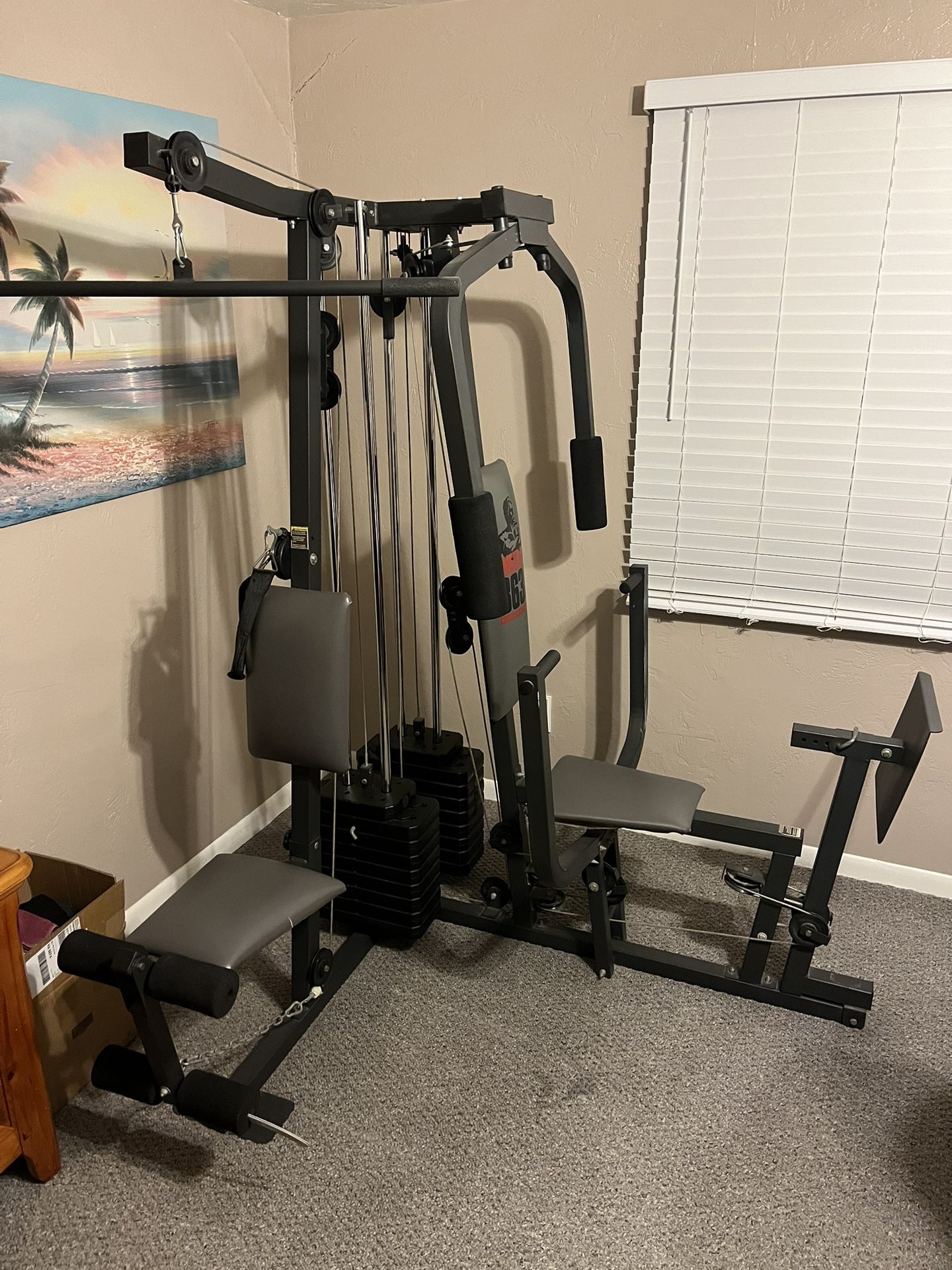 WEIDER 8630 Training System for Sale in St. Petersburg FL OfferUp