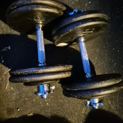 50lbs Dumbells Weights 
