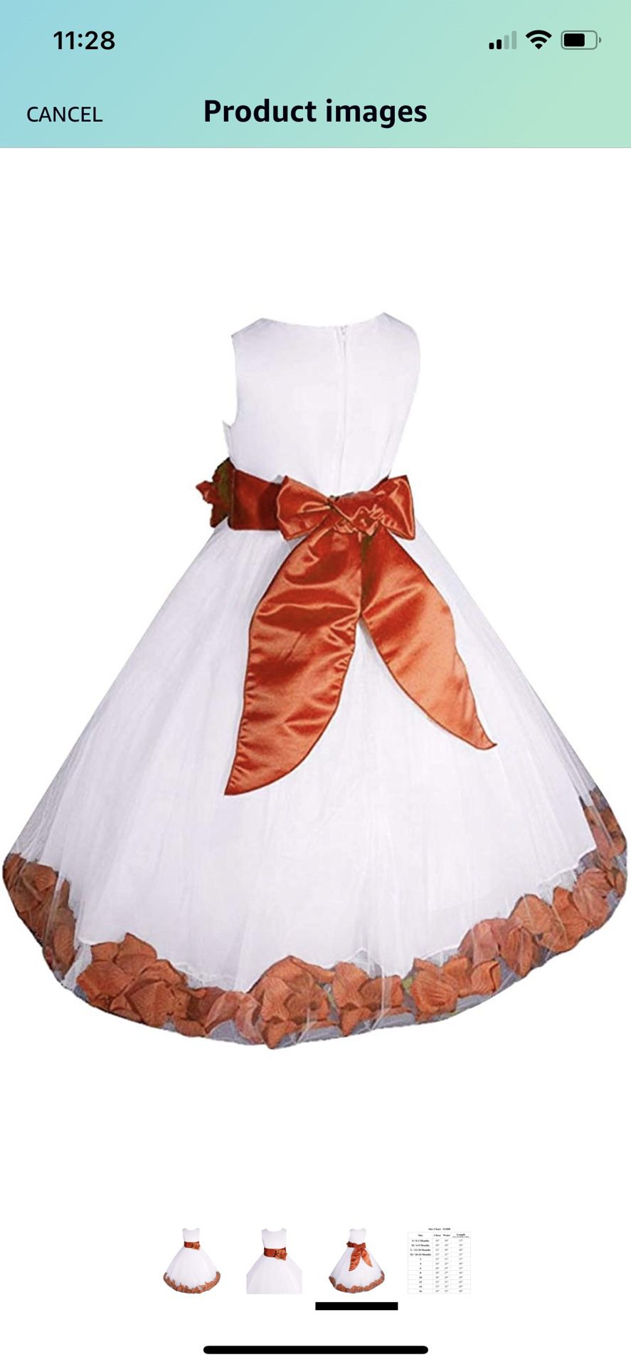 Flower Girl Dress Beautiful And Excellent Condition 