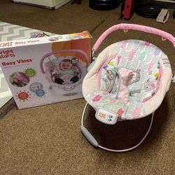 Baby Bouncer 