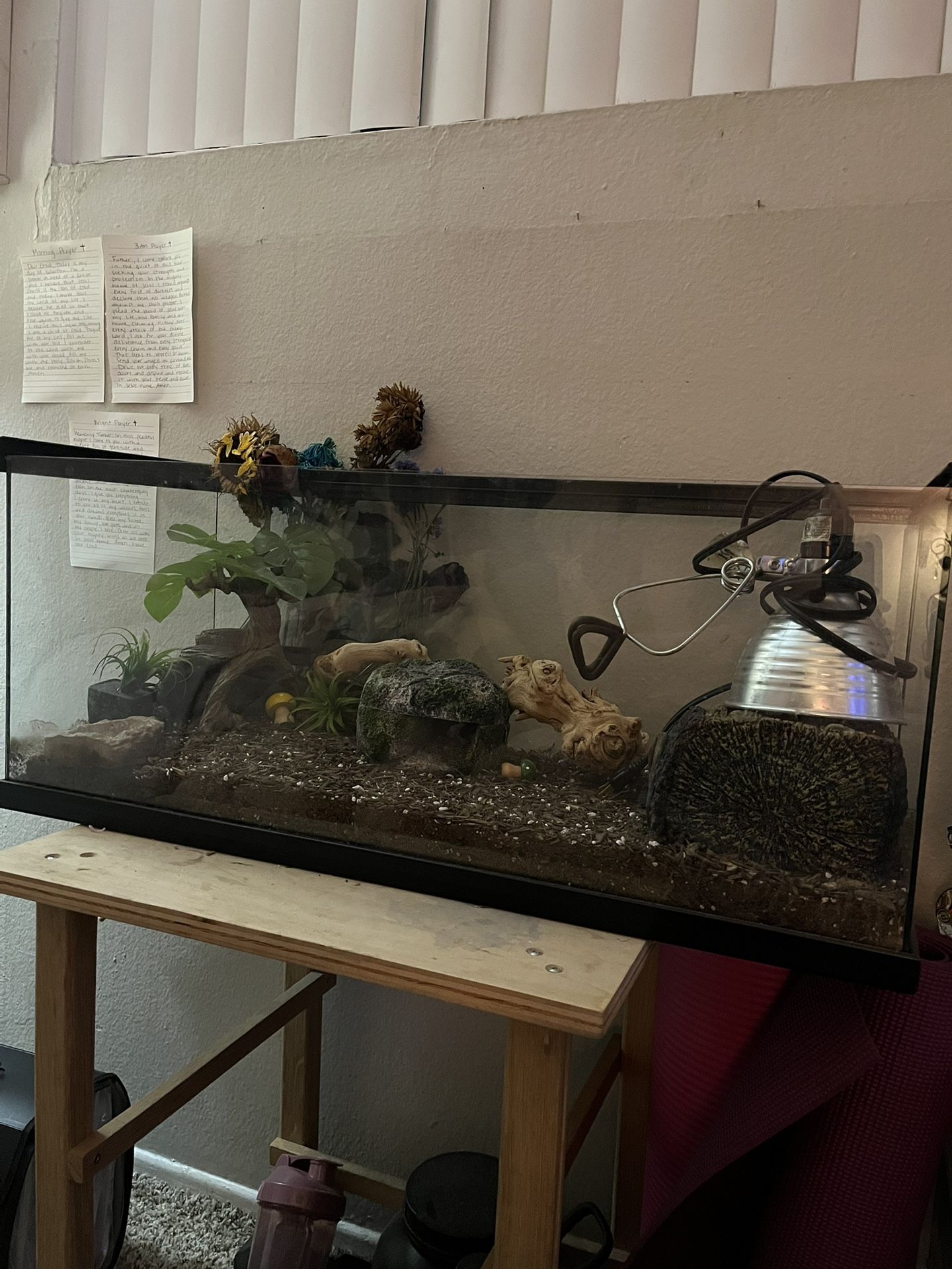 Reptile/Fish Tank