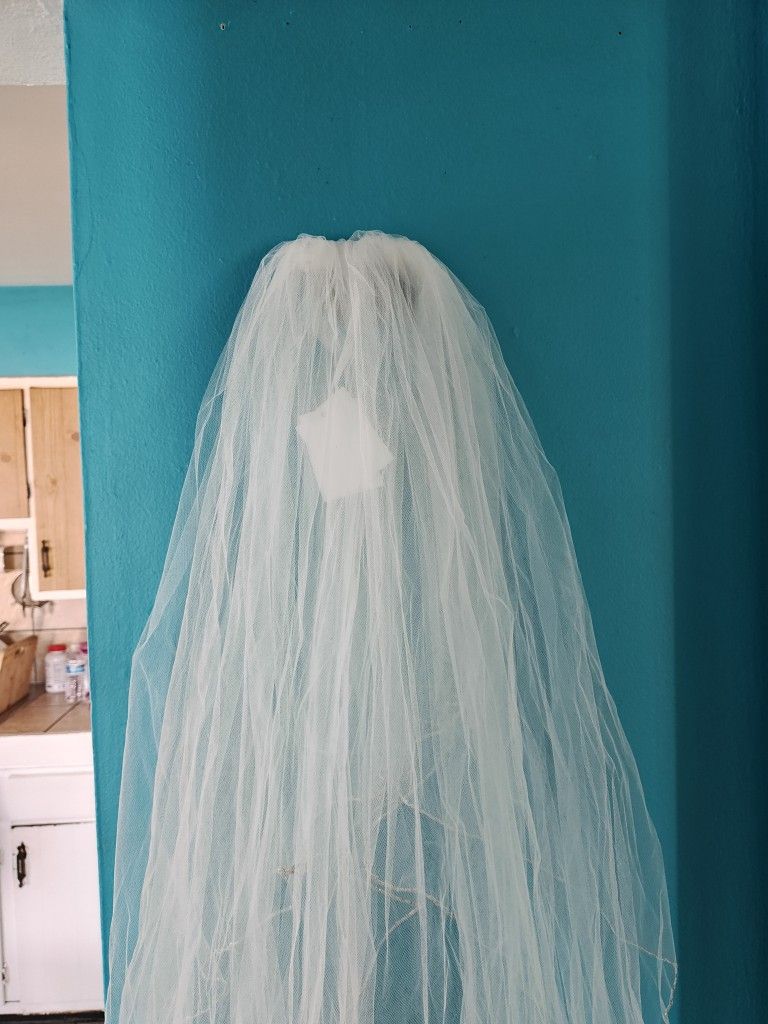 Mid Length Scalloped Ivory Veil