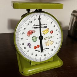 Vintage - American family kitchen Scale 