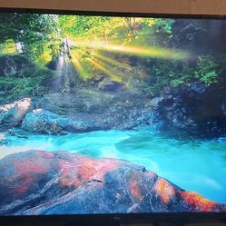 55'' 4K TV, like new, Gaming monitor