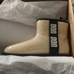 Clear Uggs
