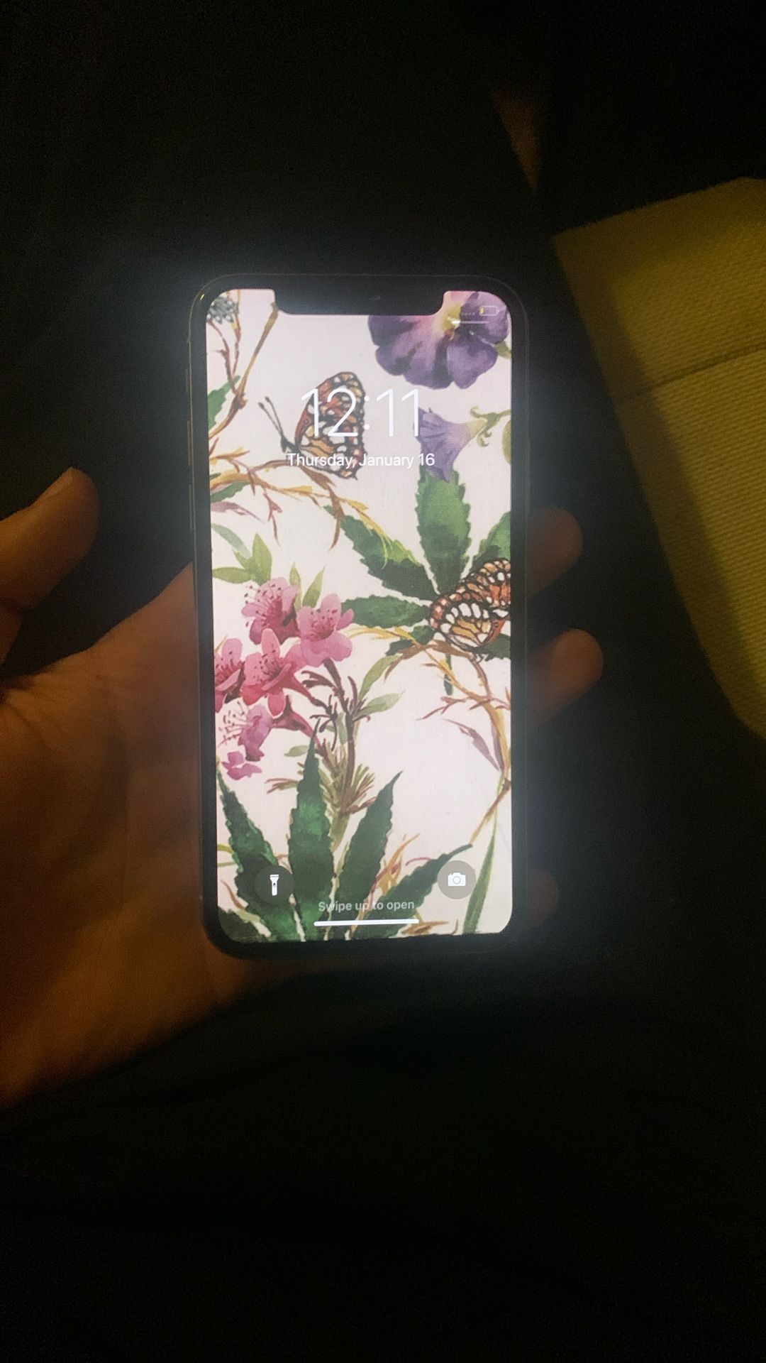 iPhone X
