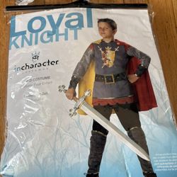 Boys Knight Halloween Costume Size L 10 y.o.