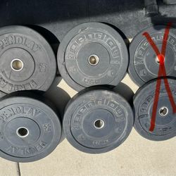 200LBS Bumper Plates
