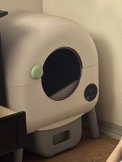 Cat Littler Box
