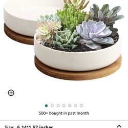Succulent Pots, 6 inch White Ceramic Flower Planter Pot with Bamboo Tray, Pack of 2 - Plants Not Included New 
