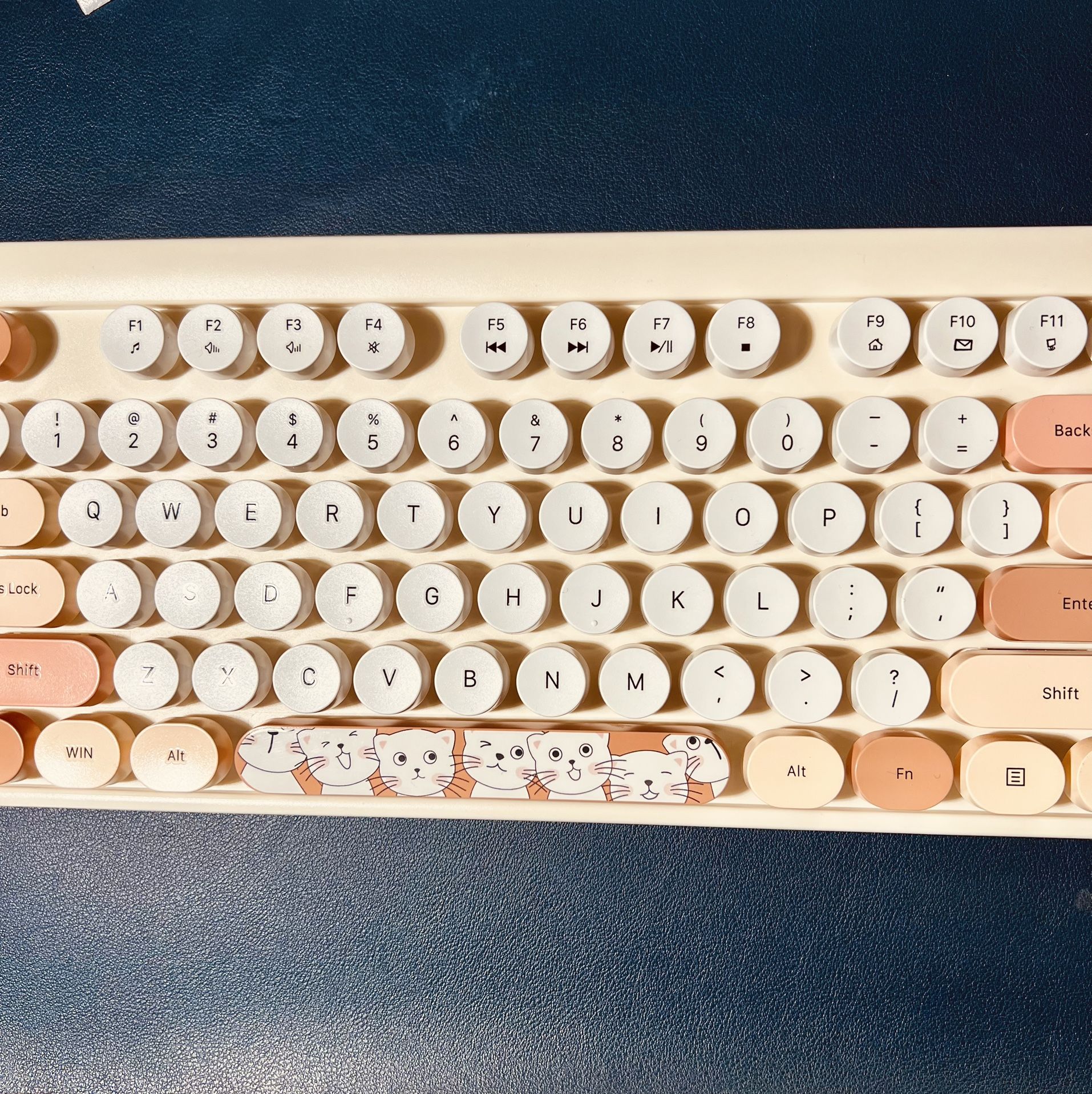 2.4G Full-Size Wireless Creamy Keyboard and Mouse Combo, Multi-Color Typewriter Style Round Keycap, Cutecat