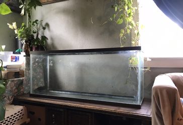 Reptile Tank