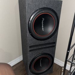 Dual 12” Pioneer Speaker