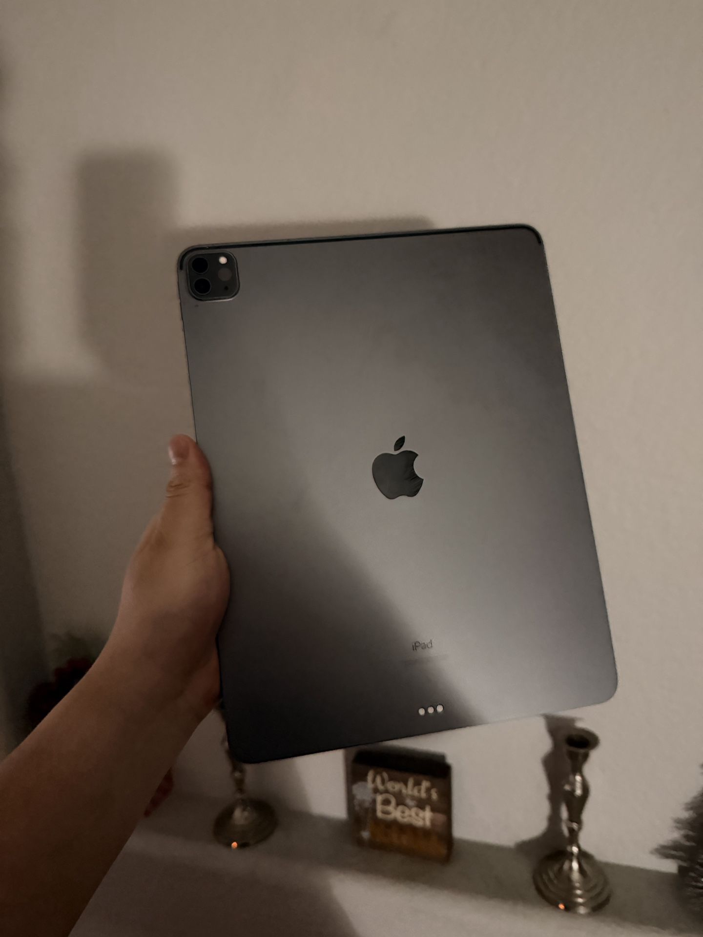 iPad Pro 12.9 5th Generation (2021) 256GB