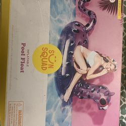 Pool Floatie
