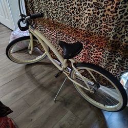 Firnstrong Beach Cruiser
