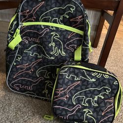 Dinosaur Book bag/lunch Bag