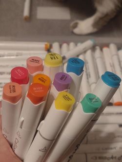 Huge Lot of 160+ Dual-Tip Alcohol Markers + Colorless Blender (Caliart & Shuttle Art)