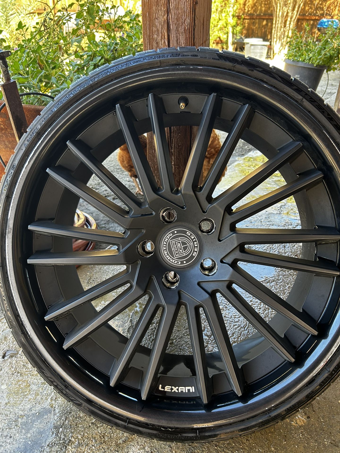 22” Lexani Competition Wheels !!!