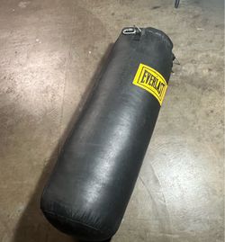 Everlast Heavy Bag